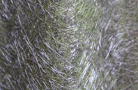 Sewell fibreglass roof work